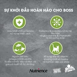 Thumbnail Thức Ăn Cho Mèo Con Nutrience Infusion Healthy Kitten - thịt gà, dầu cá hồi và rau củ quả 2.27kg 2