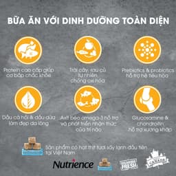 Thumbnail Hạt cho chó Nutrience Subzero Grain-free - gà tây, cá hồi, cá trích, cá tuyết và rau củ quả 500g 4