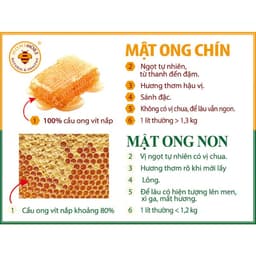 Thumbnail Mật ong nguyên chất Rừng Nhiệt Đới 1350g - Mật ong rừng nguyên chất 4