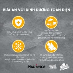 Thumbnail Thức ăn cho chó nhỏ Nutrience Infusion Adult Small Breed - thịt gà và rau củ trái cây tự nhiên 500g 2