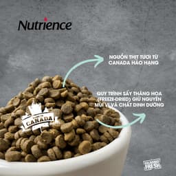 Thumbnail Thức ăn cho mèo trưởng thành Nutrience Infusion Adult Indoor  - thịt gà và rau củ quả 2.27kg 3