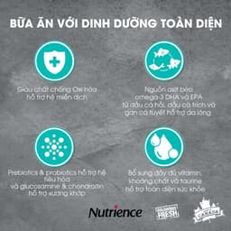 Thumbnail Nutrience Infusion Adult Indoor cho mèo trưởng thành - thịt gà và rau củ trái cây tự nhiên 5kg 2