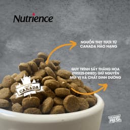 Thumbnail Nutrience Infusion Healthy Adult thức ăn cho chó TB lớn - thịt gà và rau củ trái cây tự nhiên 500g 3