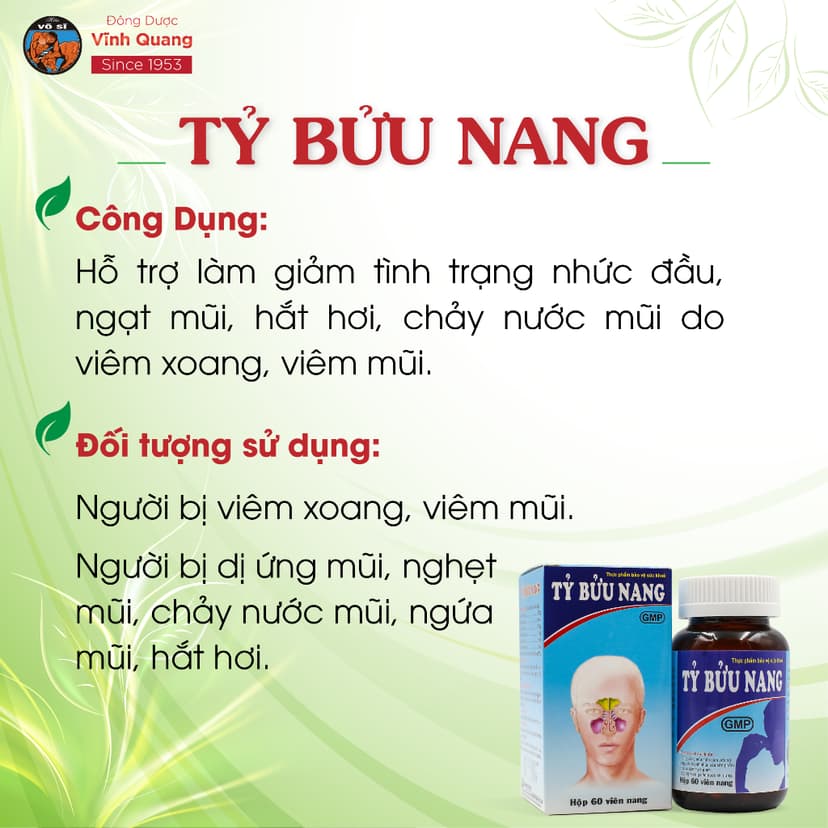 Ảnh Tỷ Bửu Nang VĨNH QUANG - Viêm xoang, Viêm mũi dị ứng, Nghẹt mũi, Chảy nước mũi - Hộp 60 viên 3