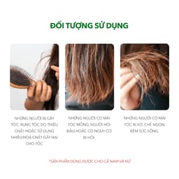 Thumbnail Combo Dermato 200 & Dầu Gội Sạch Gàu Antisol | Thương Hiệu iCare Pharma | Hỗ Trợ Phục Hồi Tóc Hư Tổn, Ngăn Ngừa Rụng Tóc 2