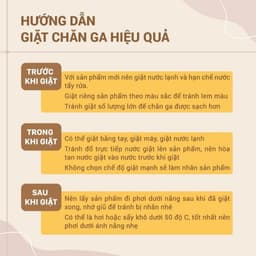 Thumbnail Bộ ga giường cotton poly 3 món nhiều mẫu Thỏ Tim Xanh 3