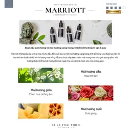 Thumbnail Tinh dầu thơm phòng mùi khách sạn 5 sao JW MARRIOTT, tinh dầu khuếch tán mùi hương sang trọng, tinh khiết 100ml_HOMELAB 4