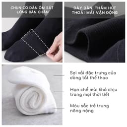Thumbnail Combo 3 đôi tất trơn cổ cao dễ phối đồ, Set 3 đôi tất cao cổ G2 màu đen hoặc trắng bằng cotton hàng VNXK 3