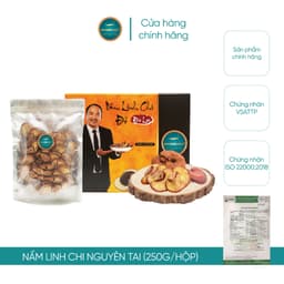 Thumbnail Nấm Linh Chi Đỏ Đà Lạt Kim Cương Vàng - Hỗ Trợ Giải Độc Gan, Giảm Mệt Mỏi, Cải Thiện Sức Khỏe (250Gr/Hộp) 4