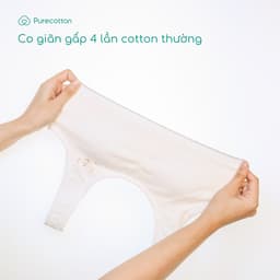 Thumbnail Combo 2 áo lót sợi sồi cao cấp mềm mịn kiểu dáng chui đầu có đệm Puppy Bra PC107 2