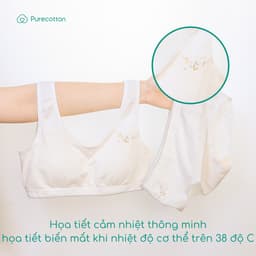 Thumbnail Combo 2 áo lót sợi sồi cao cấp mềm mịn kiểu dáng chui đầu có đệm Puppy Bra PC107 4