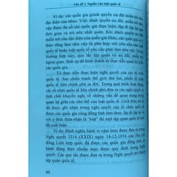 Thumbnail Sách- Hướng dẫn môn học công pháp quốc tế 4