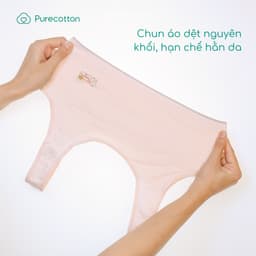 Thumbnail Combo 2 áo lót sợi sồi cao cấp mềm mịn kiểu dáng chui đầu không đệm Cool Bear PC108 3