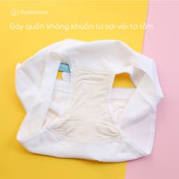 Thumbnail Combo 2 quần lót sợi sồi cao cấp mềm mịn Cool Bear PC109 3