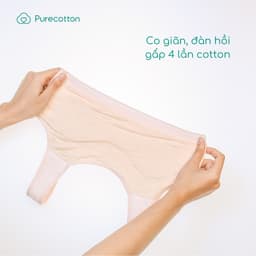 Thumbnail Combo 2 áo lót sợi sồi cao cấp mềm mịn kiểu dáng chui đầu không đệm Cool Bear PC108 1