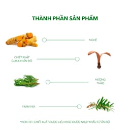 Thumbnail Combo 3 Chai Dầu Gội Sạch Gàu Antisol | Thương Hiệu iCare Pharma | Làm Sạch Gàu Nấm Ngứa Da Đầu 4