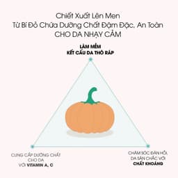 Thumbnail Tẩy Tế Bào Chết Bí Ngô AMPLE:N Purifying Shot Pumpkin Enzyme Peeling Gel 4