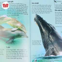 Thumbnail Sách thiếu nhi - Bách khoa tri thức về khám phá thế giới cho trẻ em (nhiều chủ đề) 2