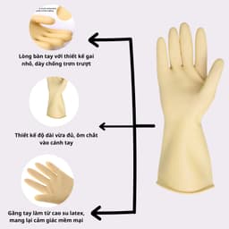 Thumbnail Găng Tay Cao Su Tay Lửng Ngọc Trai Size L Thương Hiệu BEIGL 4