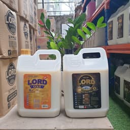 Thumbnail Nước giặt Lord Diamond hương nước hoa Pháp 300gr 3