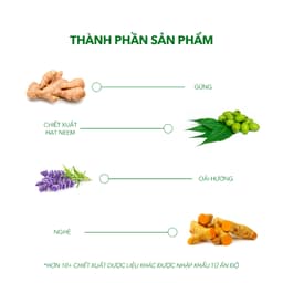 Thumbnail Combo 02 Dầu Gội Sạch Gàu Antisol & 01 Dermato 200 | Thương Hiệu iCare Pharma | Sạch Gàu Giảm Rụng 4