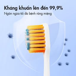 Thumbnail Đầu bàn chải kissday KBH01 - Phụ kiện chính hãng 1