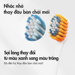 Thumbnail Đầu bàn chải kissday KBH01 - Phụ kiện chính hãng 2