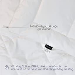 Thumbnail Ruột chăn lông vũ nhân tạo Microfiber Changmi Bedding cực êm, giữ nhiệt tốt. Tiêu chuẩn khách sạn 5 sao 4