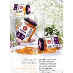 Thumbnail Mật ong nguyên chất Honimore Hoa Yên Bạch 500g tặng mật ong nguyên chất 500g 3