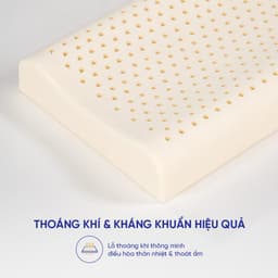 Thumbnail Gối Cao Su Thiên Nhiên Gummi Pudding Thiết Kế Công Thái Học Lượn Sóng Nâng Đỡ Thoáng Khí Dành Cho Người Nằm Thấp 3