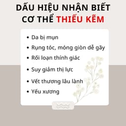 Thumbnail Viên uống VTM bổ sung Kẽm ZinC hỗ trợ tăng cường sức đề kháng 3