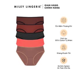 Thumbnail Combo 5 Quần Lót Cotton Co Dãn 4 Chiều Flexi Miley Lingerie BCS40 ( Giao màu ngẫu nhiên) 1