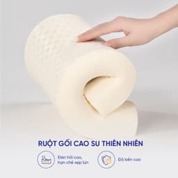 Thumbnail Gối cao su thiên nhiên Gummi Pudding 26x43cm lượn sóng nâng đỡ chắc chắn, thoáng khí, dành cho người nằm thấp 4