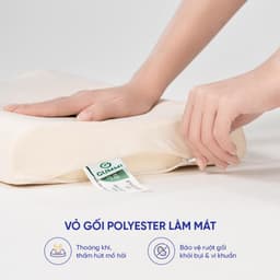 Thumbnail Gối cao su thiên nhiên Gummi Pudding 26x43cm lượn sóng nâng đỡ chắc chắn, thoáng khí, dành cho người nằm thấp 3