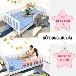 Thumbnail Giường Gỗ GOLDCAT Cho Trẻ Từ 2-15 Tuổi Phong Cách Hàn Quốc, Trọng Tải Tối Đa 180kg, Gỗ Quế An Toàn 4