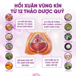 Thumbnail Viên uống Zlove cân bằng nội tiết tố nữ, se khít vùng kín, giảm khô hạn ( hộp 50 viên ) 3