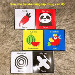Thumbnail Sách - Flash Card Kích Thích Thị Giác cho trẻ sơ sinh - bản Zic Zắc 40 hình, kích thước 21cm x 21cm. 2