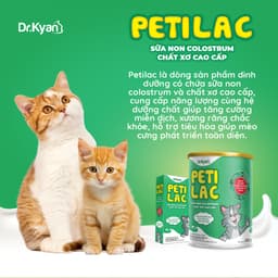 Thumbnail DrKyan - Sữa bột dinh dưỡng PETILAC - Bổ sung sữa non Colostrum & Chất xơ cao cấp cho mèo 100g 2