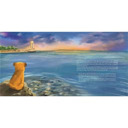 Thumbnail Sách Trường Sa - biển ấy là của mình, sách cho trẻ, Casa Sunshine 4