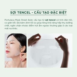 Thumbnail Hộp 10 mặt nạ dưỡng ẩm giảm mụn mờ thâm Caryophy Portulaca Mask Sheet 3