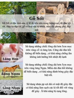 Thumbnail Bàn Chải Đánh Giày MINSU M2415 Chuyên Dùng Vệ Sinh Giày Sneaker, Da Lộn Với Chất Liệu Lông Ngựa, Lông Heo Mềm Cao Cấp 3