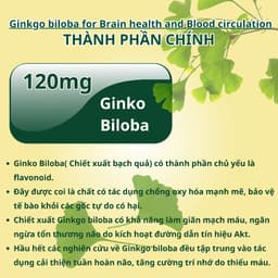 Thumbnail Viên uống bổ não NUTRIONELIFE Ginkgo Biloba Tăng Cường Trí Nhớ,Giảm Đau Đầu,Chóng Mặt,Rối Loạn Tiền Đình 20 Viên 2