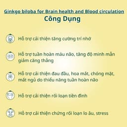Thumbnail Viên uống bổ não NUTRIONELIFE Ginkgo Biloba Tăng Cường Trí Nhớ,Giảm Đau Đầu,Chóng Mặt,Rối Loạn Tiền Đình 20 Viên 1