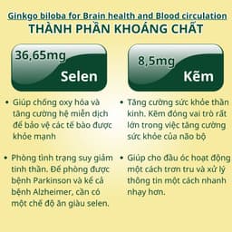 Thumbnail Viên uống bổ não NUTRIONELIFE Ginkgo Biloba Tăng Cường Trí Nhớ,Giảm Đau Đầu,Chóng Mặt,Rối Loạn Tiền Đình 20 Viên 3