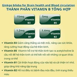 Thumbnail Viên uống bổ não NUTRIONELIFE Ginkgo Biloba Tăng Cường Trí Nhớ,Giảm Đau Đầu,Chóng Mặt,Rối Loạn Tiền Đình 20 Viên 4