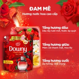 Thumbnail Combo 3 Nước Giặt ARIEL Downy Nắng Sớm 3.2KG, Nước Xả Vải DOWNY Đam Mê 3.5L & Xịt Vải DOWNY Đam Mê 370ml 2