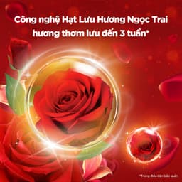 Thumbnail Combo 3 Nước Giặt ARIEL Downy Nắng Sớm 3.2KG, Nước Xả Vải DOWNY Đam Mê 3.5L & Xịt Vải DOWNY Đam Mê 370ml 3