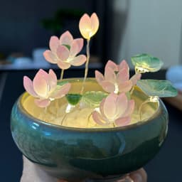 Thumbnail Chậu Hoa Sen Đá Mini Tự Làm, Trang Trí Đèn Ngủ, Bàn Học, Góc Tu Tập - Tuệ Nga 4
