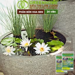Thumbnail Phân Bón Hoa Sen Greenhome, Vỉ 24 Viên, Cây Thuỷ Sinh, Ngập Nước, Cho Hoa To, Hoa Đậm Màu, Lâu Tàn 3