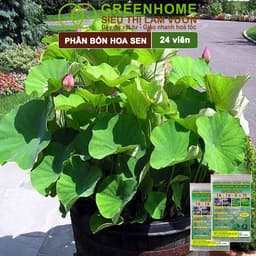 Thumbnail Phân Bón Hoa Sen Greenhome, Vỉ 24 Viên, Cây Thuỷ Sinh, Ngập Nước, Cho Hoa To, Hoa Đậm Màu, Lâu Tàn 4